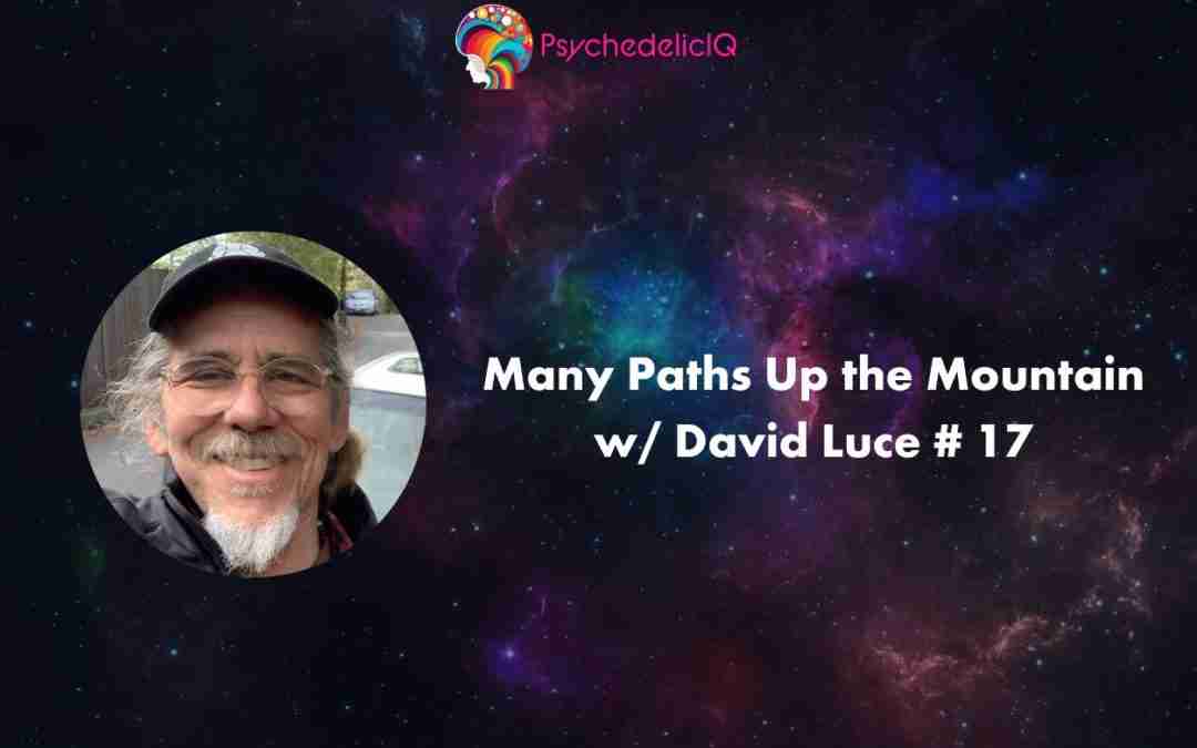 Many Paths Up the Mountain w/ David Luce # 17